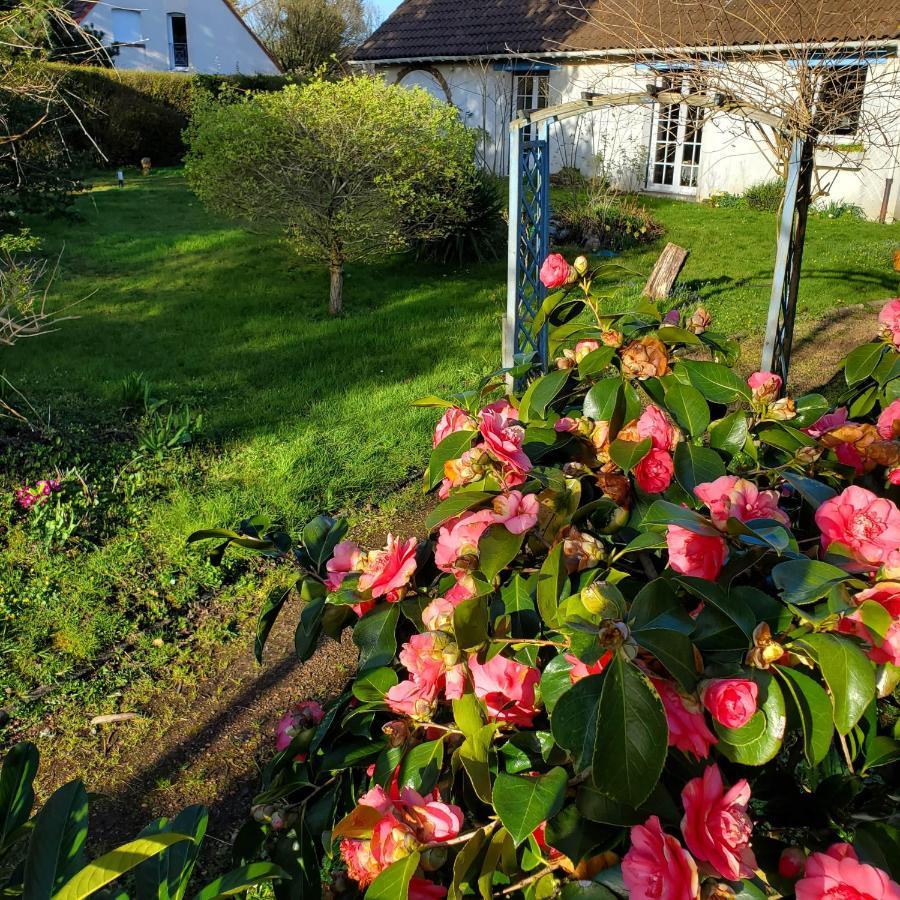Maison Au Calme Avec Jardin Pres Du Chateau, Foret Et Plage Condette Exteriér fotografie